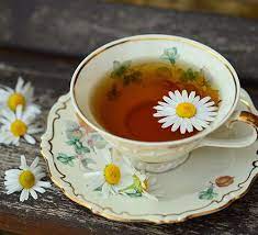 Loose Leaf Tea 101
