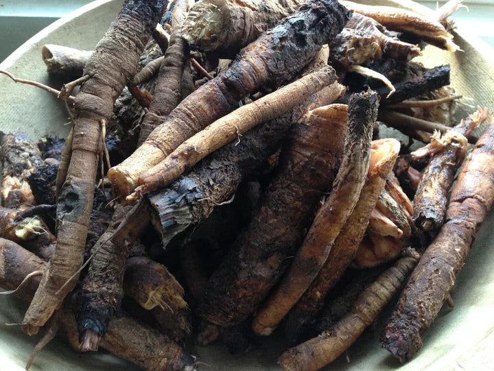 Red Moon Herbs Deep Roots Herbal Extract (Burdock, Yellow Dock, & Dandelion)